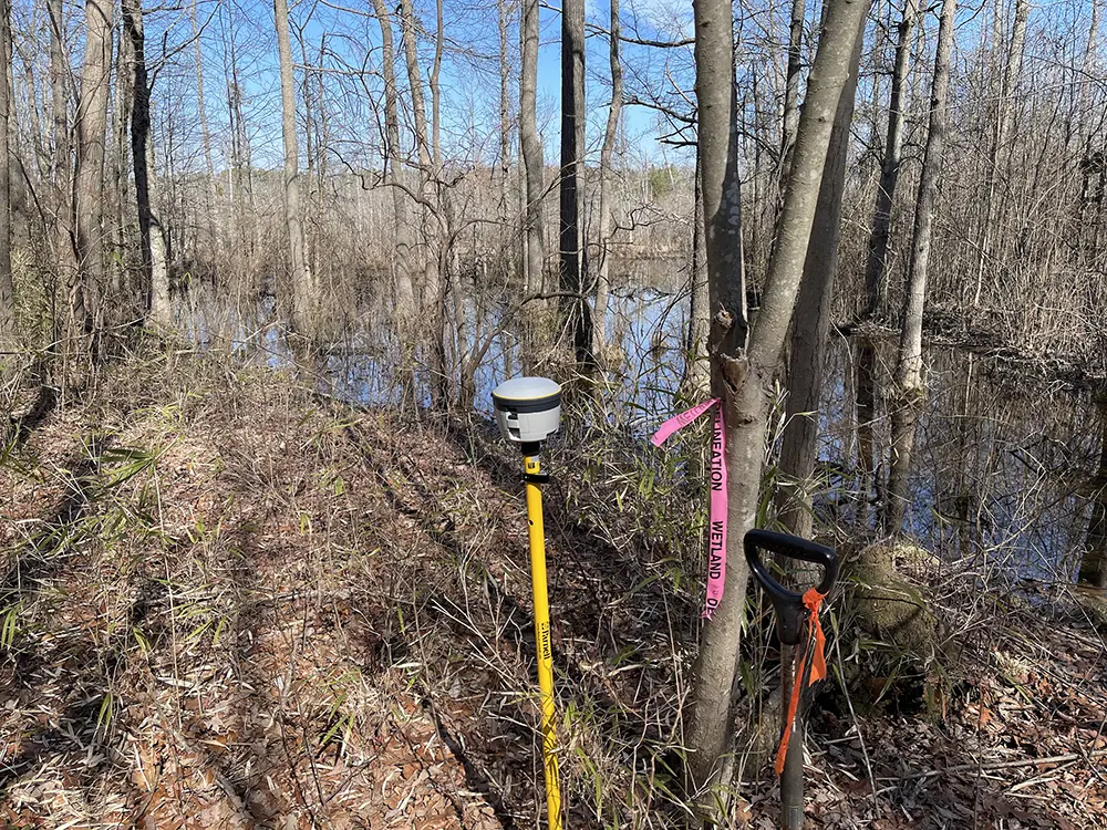 wetlands_feature_5