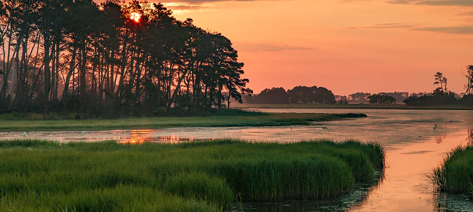 nutrient-credits-leadin